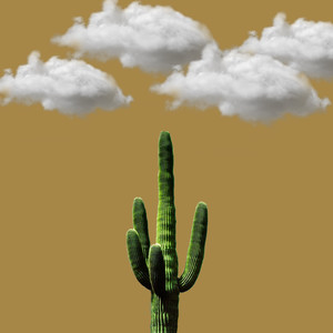 NO90KIDZ (FREESTYLE)