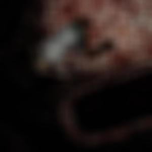 ALLiWANNAKNOW (feat. temporxry) (Explicit)