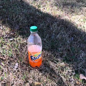 Of Course (Explicit)