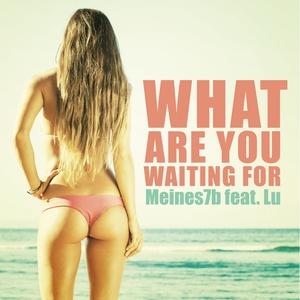 What Are You Waiting For (N-Sure Remix)