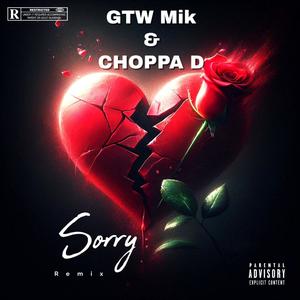 Sorry Rem!x (feat. GTW Mik) (Explicit)