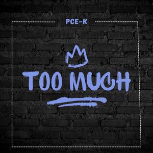 Too Much (Explicit)