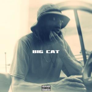 Big Cat (Explicit)