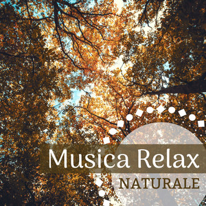 Musica Relax Naturale - Suoni della Natura Rilassanti, Bosco, Acqua e Canto di Uccelli