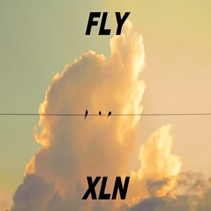 Fly