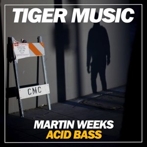 Acid Bass (Original Mix)