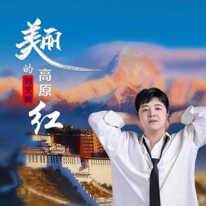 美丽的高原红