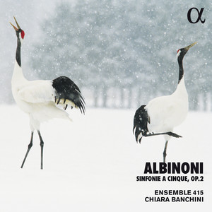 Albinoni: Sinfonie a cinque, Op. 2 (Alpha Collection)