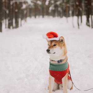 Ate Tymez Three (Explicit)