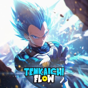 Tenkaichi Flow