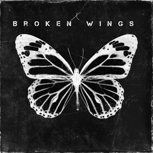 Broken Wings