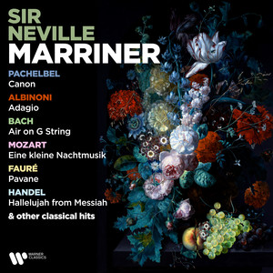 Bach, JS: Brandenburg Concerto No. 6 in B-Flat Major, BWV 1051 - II. Adagio ma non tanto