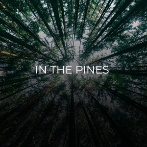 In the Pines (Explicit)