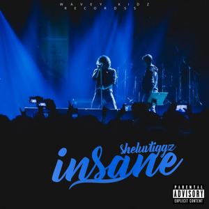 INSANE 2.0 (Explicit)