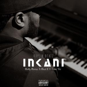 Inkani (feat. Molly Mottaz, Muzi K & Stunt Vet) [Explicit]