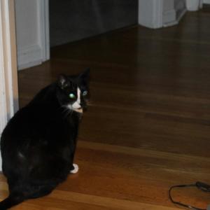 Otherworld - inside looking in