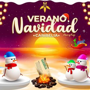 Verano Navidad