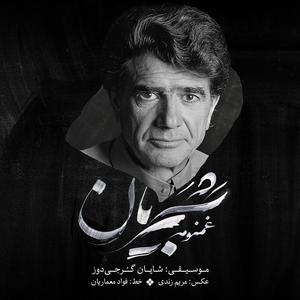 Zolfe To (feat. Kayhan Kalhor, Hossein Alizadeh & Shayan Gorjidouz)