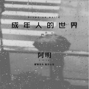 成年人的世界