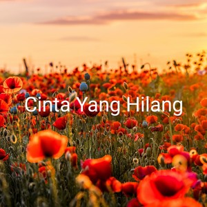 Cinta Yang Hilang