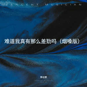 难道我真有那么差劲吗 (烟嗓版)