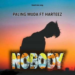 Nobody (feat. Harteez) [Explicit]