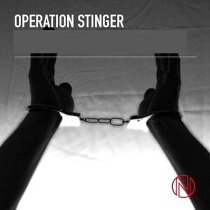 Operation Stinger