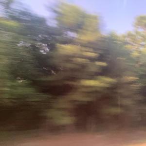 whyyyy (feat. Yung Demon$) (Explicit)