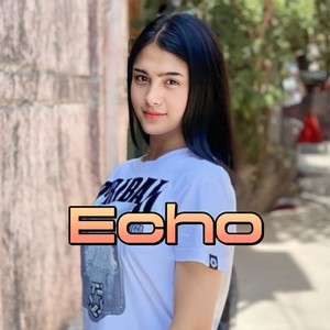 Echo (Remix)