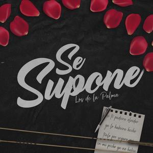 Se Supone (En vivo)