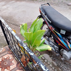 Kering