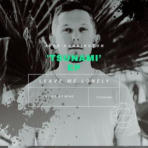 Leave Me Lonely (Radio Edit)