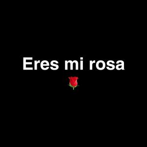 Eres Mi Rosa (Explicit)