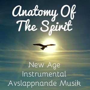 Anatomy Of The Spirit - New Age Instrumental Avslappnande Musik för Ayurvedisk Massage Vägledd Meditation och Djup Sömn