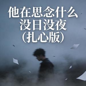 他在思念什么没日没夜 (伴奏|扎心版)