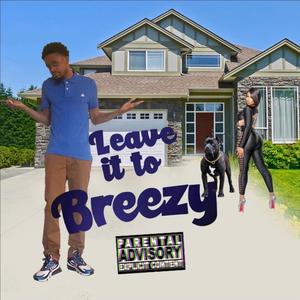 Leave It to Breezy (Explicit)