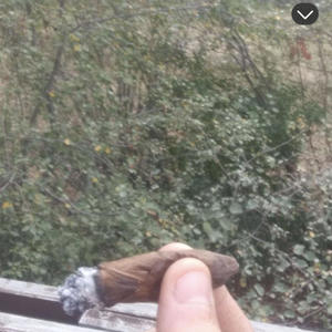 Doepfiend (Explicit)