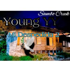 Mi Despedida 2(feat. Young YY) (Explicit)