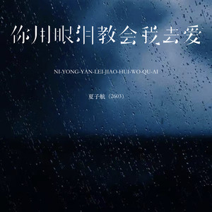 你用眼泪教会我去爱
