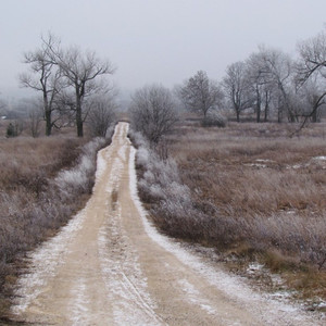 Frost