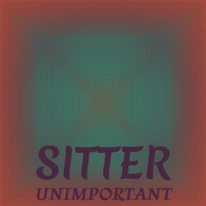 Sitter Unimportant