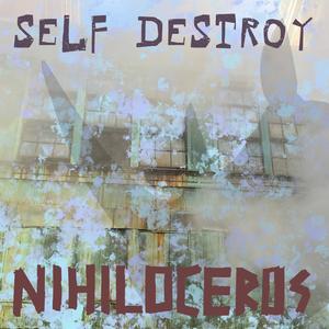 Self Destroy