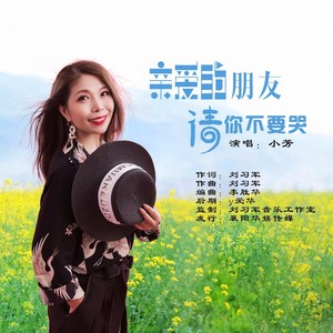 亲爱的朋友请你不要哭 - 小芳封面