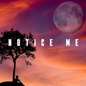 Notice Me