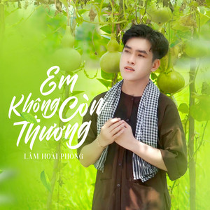 Em Không Còn Thương
