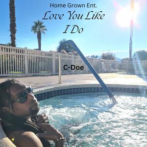 Love  You Like I Do (Explicit)