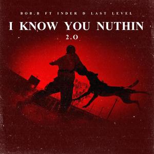 IKYN 2.0 (feat. Bob.B Randhawa) (Explicit)