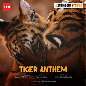 ‘Tiger Anthem’ by The Times Of India