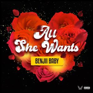 All She Wants (Explicit)