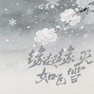缘起缘灭如飞雪封面